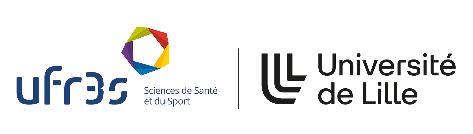 Logo UFR3S-ULille