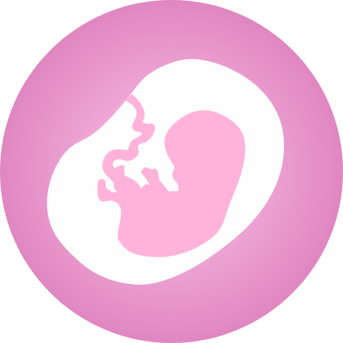 Unité foetoplacentaire